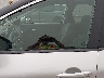 5N1BT3BB7PC****** Salvage and Repairable 2023 Nissan Rogue in Templeton
