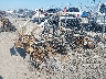 1HFVE0543L4****** Salvamento y Destrozados 2020 Honda Sxs1000 en Estado de Arkansas