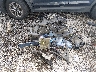 5J6RM3H79GL****** Wrecked 2016 Honda CR-V in Tennessee State