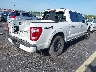 1FTFW1EDXPF****** Salvamento y Destrozados 2023 Ford F-150 en Estado de Florida