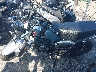 MLHJB0656S5****** Usados 2025 Honda DAX 125 en Estado de Rhode Island