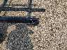 5KTWS1315FF****** Salvage and Repairable 2017 Karavan Trailer Karavan Trailer in Minnesota State