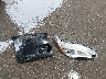 1N4AA5AP0CC****** Wrecked 2012 Nissan Maxima in Texas State