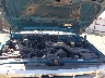 1FTHX26G4PK****** Reparables 1993 Ford F-250 en Spokane