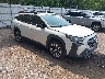 4S4BTANC5R3****** Salvage and Wrecked 2024 Subaru Outback in Grand Rapids