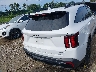 5XYRHDJF2TG****** Wrecked 2026 Kia Sorento