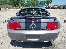 1ZVHT82H065****** Used 2006 Ford Mustang