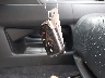 JTJBC1BA5A2****** Salvage 2010 Lexus RX 450h in Rhode Island State