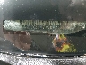 3G1JC5247WS****** Usados 1998 Chevrolet Cavalier en Anchorage