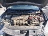3N1AB7AP3KY****** Repairable 2019 Nissan Sentra in Lexington