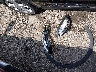1G1FW6S01H4****** Destrozados 2017 Chevrolet Bolt EV en Estado de Oklahoma