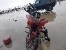 1HD1YXZ15RB****** Used and Repairable 2024 Harley-Davidson FXLRST in Texas State