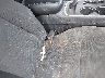 1C4RDHAG1DC****** Destrozados 2013 Dodge Durango en Estado de Florida