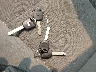 19XFA16369E****** Salvage 2009 Honda Civic in Massachusetts State