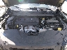 1C4PJLMN4MD****** Repairable 2021 Jeep Cherokee in Springfield
