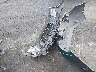 JM1NDAM7XM0****** Destrozados 2021 Mazda MX-5 Miata en Estado de Carolina del Norte