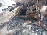 3JBVKAY45SE****** Reparables 2025 Can-Am Maverick X3 Max en Tifton