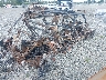 3JBVKAY45SE****** Salvamento y Destrozados 2025 Can-Am Maverick X3 Max en Estado de Georgia