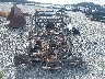 3JBVKAY45SE****** Usados y Reparables 2025 Can-Am Maverick X3 Max en Estado de Georgia