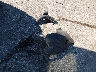2C4RDGCG6GR****** Wrecked 2016 Dodge Grand Caravan in Iowa State