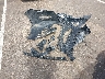 1N4AA6AP9JC****** Wrecked 2018 Nissan Maxima in Mississippi State