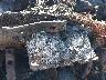 5TDXZ3DC3LS****** Salvage 2020 Toyota Sienna