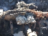 5TDXZ3DC3LS****** Salvage 2020 Toyota Sienna in High Desert