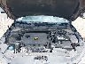 5NPD84LF6LH****** Repairable 2020 Hyundai Elantra in McAllen