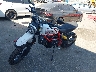 ML0KAFPM5KT****** Used 2019 Ducati Scrambler in Rec Rides Online Exclusive
