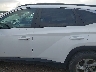 5NMJB3DE2RH****** Destrozados 2024 Hyundai Tucson en Estado de Texas