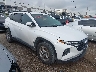 5NMJB3DE2RH****** Salvamento y Destrozados 2024 Hyundai Tucson en Fort Worth North