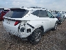 5NMJB3DE2RH****** Salvamento y Destrozados 2024 Hyundai Tucson en Estado de Texas
