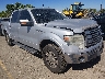 1FTFW1EF2DF****** Salvage and Wrecked 2013 Ford F-150 in Denver East