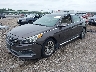 5NPE34AF8HH****** Usados y Reparables 2017 Hyundai Sonata en Lexington