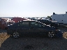 1HGFA16888L****** Wrecked 2008 Honda Civic in Colorado State