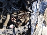 1HGFA16888L****** Salvage and Repairable 2008 Honda Civic in Colorado State