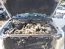 1FTRX12849F****** Repairable 2009 Ford F-150 in Jackson