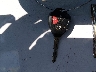 2T3BF4DV3CW****** Salvamento 2012 Toyota RAV4 en Estado de Montana