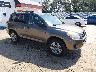2T3BF4DV3CW****** Salvamento y Destrozados 2012 Toyota RAV4 en Billings