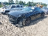 1FA6P8THXR5****** Usados y Reparables 2024 Ford Mustang en Long Island