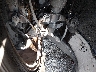 JH4DC53022C****** Salvage and Repairable 2002 Acura RSX in California State