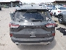 1FMCU0G64MU****** Wrecked 2021 Ford Escape