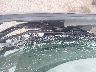 WBY1Z8C39HV****** Reparables 2017 BMW I3 en Culpeper