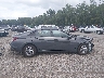 KMHLL4DG7TU****** Repairable 2026 Hyundai Elantra in South Carolina State