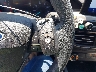 1FMCU9G61MU****** Salvage 2021 Ford Escape in Nebraska State