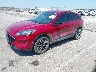 1FMCU9G61MU****** Used and Repairable 2021 Ford Escape in Omaha South