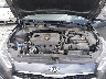 3KPF24AD4LE****** Repairable 2020 Kia Forte in Springfield
