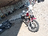 1HD4CEM19VY****** Salvage and Wrecked 1997 Harley-Davidson Sportster 883 in Rec Rides Online Exclusive