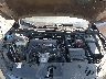 2HGFC2F62KH****** Repairable 2019 Honda Civic in Philadelphia
