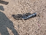 4S3BMCG66A3****** Wrecked 2010 Subaru Legacy in Ohio State